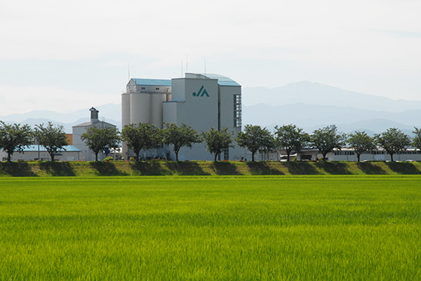 小松市の農業