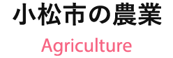 小松市の農業 Agriculture