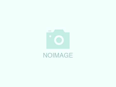 noimage