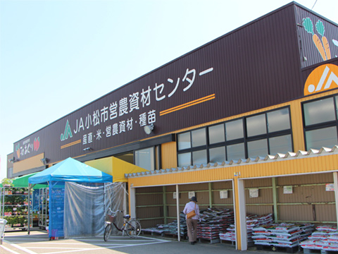 写真:
