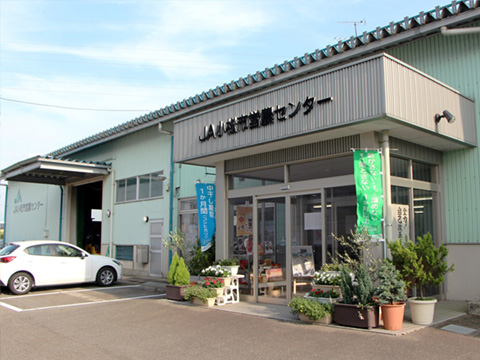 写真: