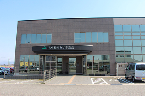 写真: