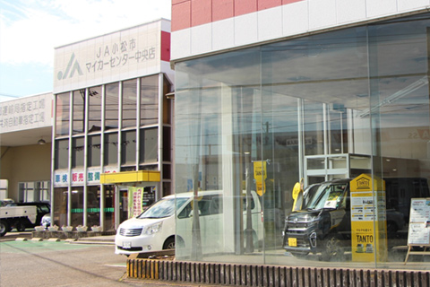 写真: