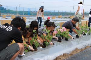 親子でトマト苗植え体験