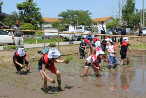 田植えに挑戦する児童ら