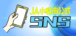 公式SNS一覧