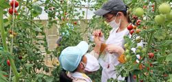 親子収穫体験「一日緑の学園」募集のお知らせ