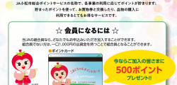 こまとちゃんポイントの付与基準表(PDF)を更新しました